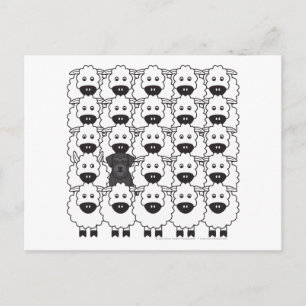 Postal Schnauzer en la oveja