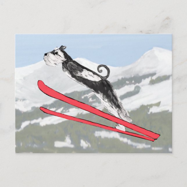 Postal ¡Schnauzer en Skis! (Anverso)