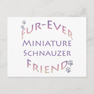 Postal Schnauzer Furever en miniatura