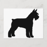 Schnauzer gigante (negro)