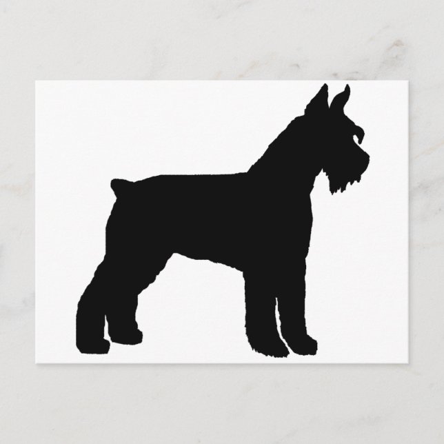 Postal Schnauzer gigante (negro) (Anverso)