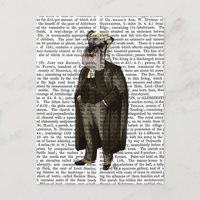 Postal Schnauzer Lawyer (Anverso)