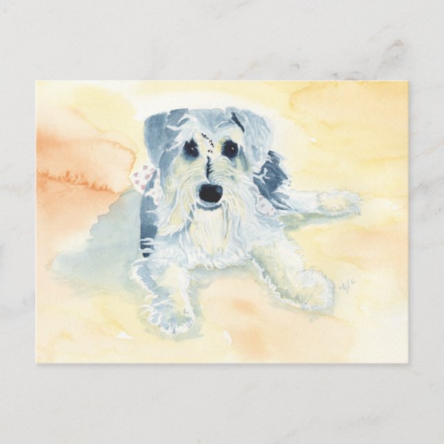 Postal Schnauzer Mia (Anverso)
