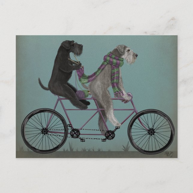 Postal Schnauzer Tandem (Anverso)