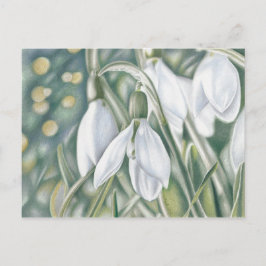 Postal Schneeglöckchen - Farbstiftzeichnung