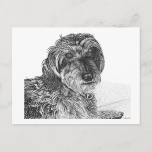 Postal Schnell - Postcard en blanco