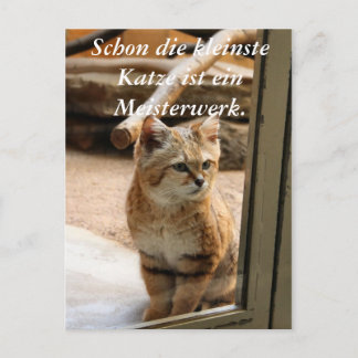 Postal Schon die kleinste Katze ist ei...