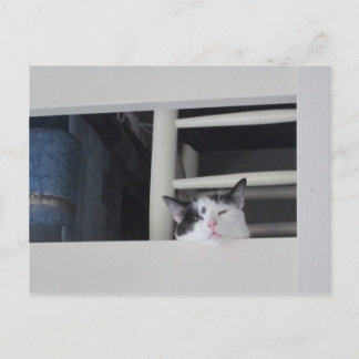 Postal Schöne Aussicht