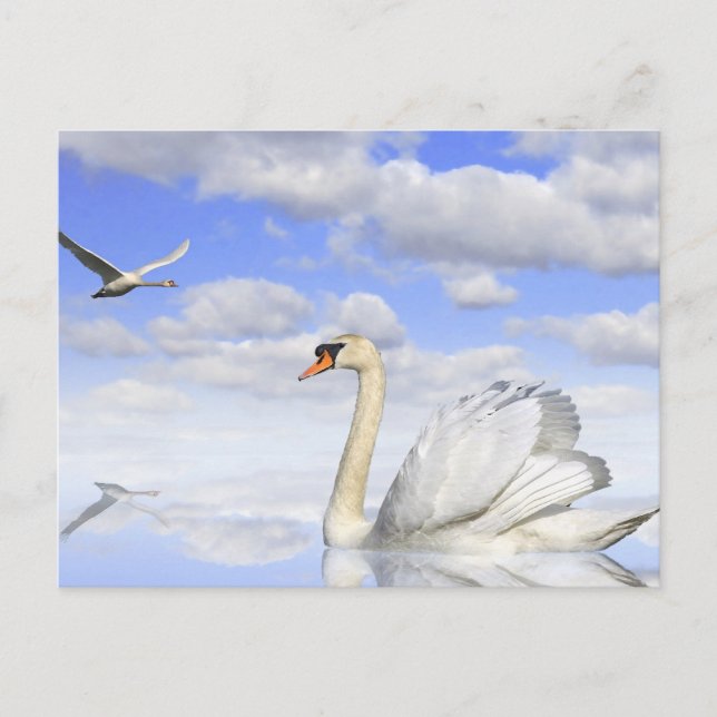 Postal Schwanensee (Anverso)