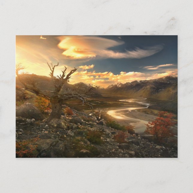 Postal Scion Of The Wild (Anverso)