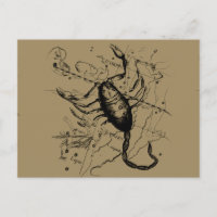 Scorpio Constellation Hevelius alrededor de 1690 V