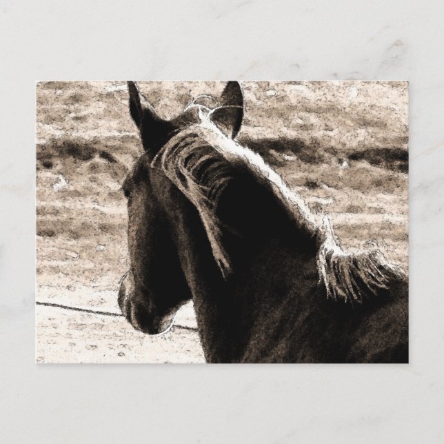 Postal Scotch en tonos marrones (Anverso)