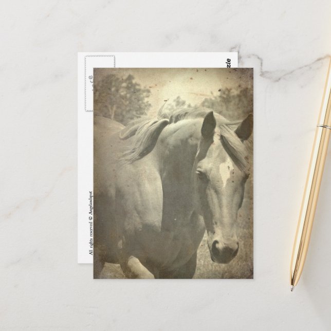 Postal Scotch Faux Vintage (Anverso/Reverso In Situ)