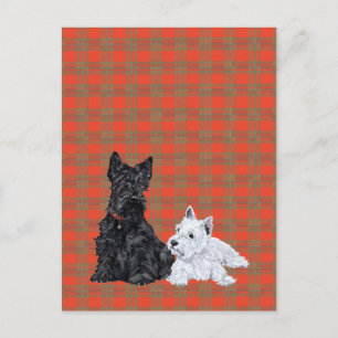 Postal Scottie adulto y cachorro Westie