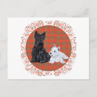 Scottie adulto y cachorro Westie