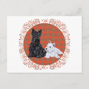 Postal Scottie adulto y cachorro Westie