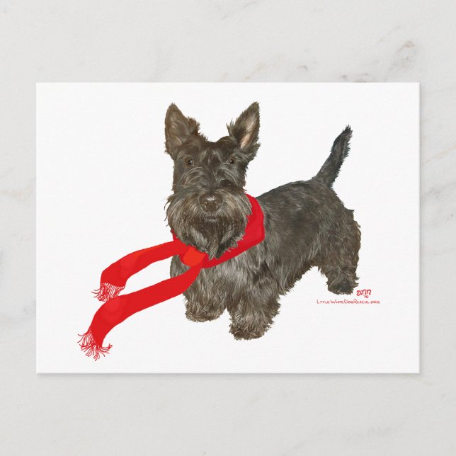 Postal Scottie de invierno con bufanda Wam (Anverso)