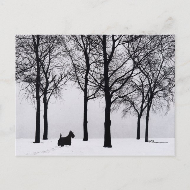 Postal Scottie en bosques nevados (Anverso)