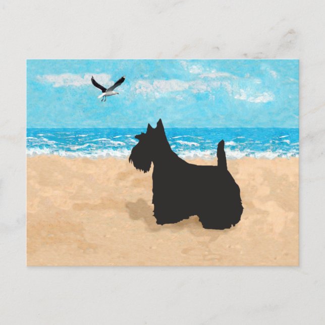Postal Scottie en la playa con gaviota (Anverso)