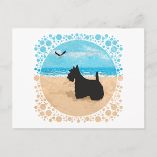 Postal Scottie en la playa con gaviota