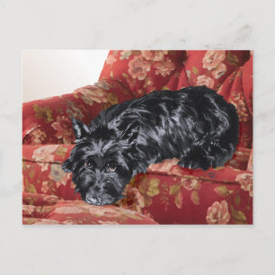 Postal Scottie en una Gran Silla Roja