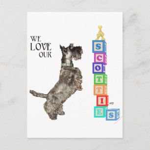 Postal Scottie Encuentra un Premio