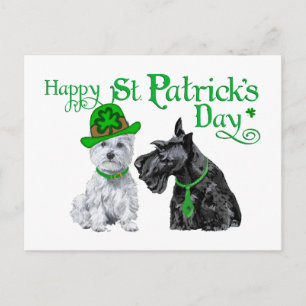 Postal Scottie y Westie Día de St. Paddy