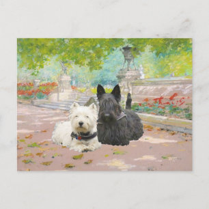 Postal Scottie y Westie en un jardín
