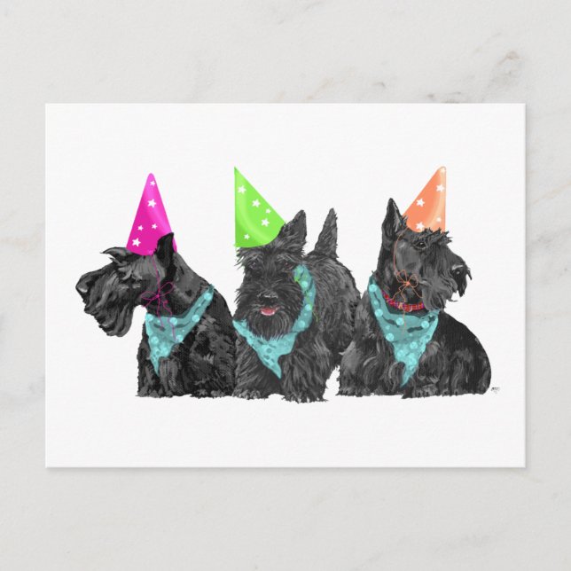 Postal Scotties de celebración con sombreros de fiesta (Anverso)