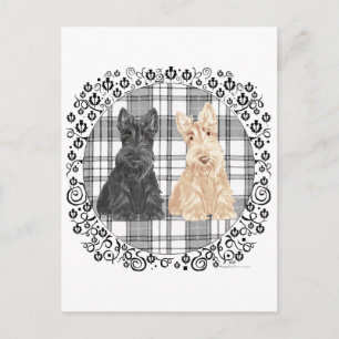 Postal Scotties de tartán