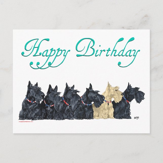 Postal Scotties Todos en una Fila (Anverso)