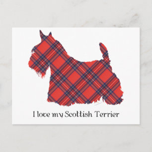 Postal Scottish Terrier Stewart Tartán