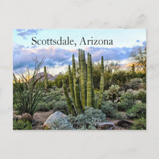 Postal Scottsdale Succulent Sunset
