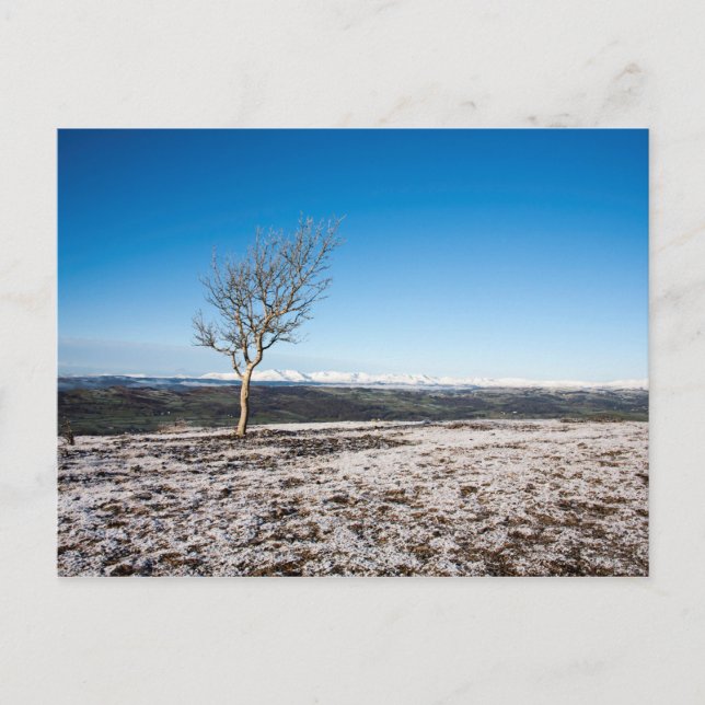 Postal Scout Scar Winter Lake Distrct England (Anverso)