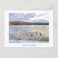Scranton PA-Lake Scranton Post Card Ducks