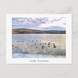 Postal Scranton PA-Lake Scranton Post Card Ducks