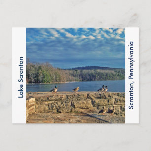 Postal Scranton PA-Lake Scranton Post Card Ducks