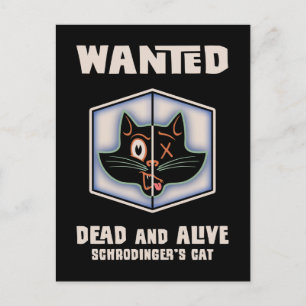 Postal Se busca el gato de Schrodinger