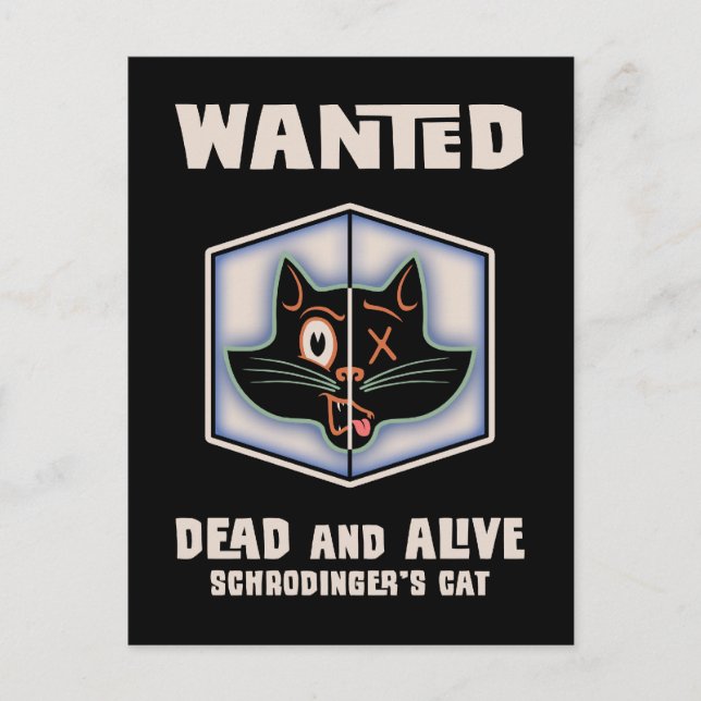 Postal Se busca el gato de Schrodinger (Anverso)