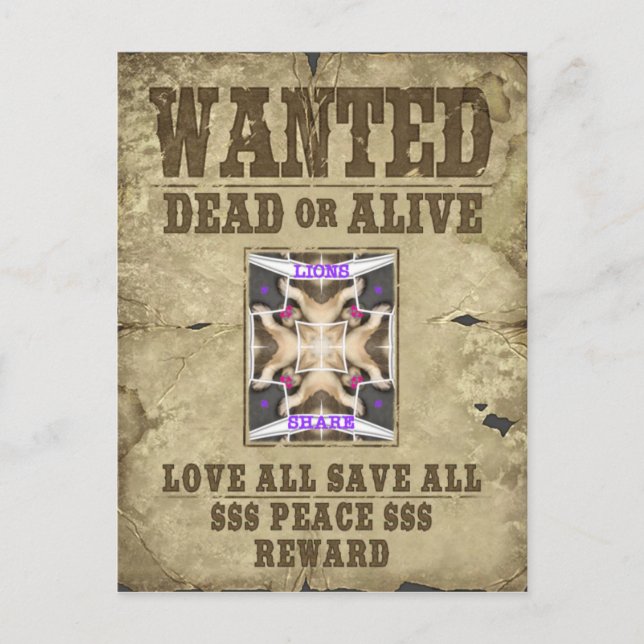 Postal Se busca paz, amor e inspiración: difunde armonía (Anverso)