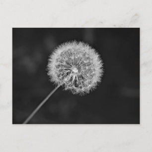 Postal Se fue a la semilla