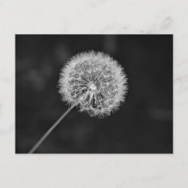 Postal Se fue a la semilla