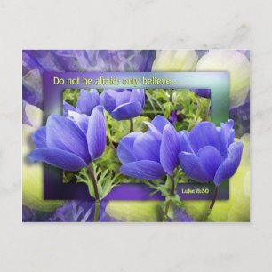 Postal Se Hará Bien