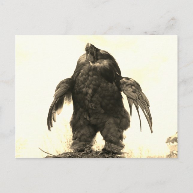 Postal ¿Se Levanta, Hermano? - (Anverso)