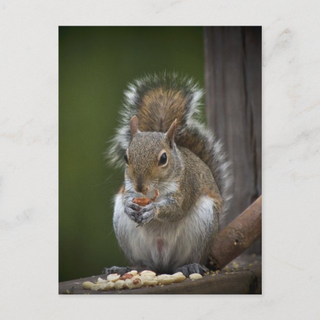 Postal Sé Muy Tranquilo (Anverso)