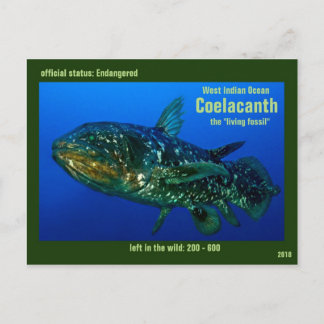 Postal Se pone en peligro Coelaconth, de "pescados
