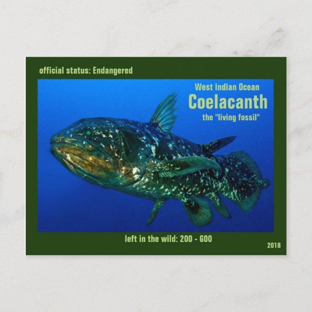 Postal Se pone en peligro Coelaconth, de "pescados (Anverso)