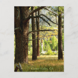 Postal Se Postergó Sendero Escenario En Garner Valley, CA