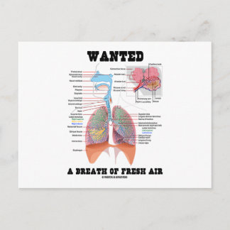 Postal Se Quiere Respirar Aire Fresco (Sistema Respirator