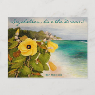 Postal Sea Hibiscus